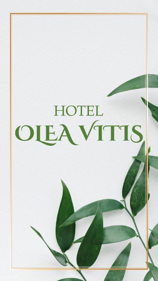 Olea Vitis Hotell Međugorje Eksteriør bilde